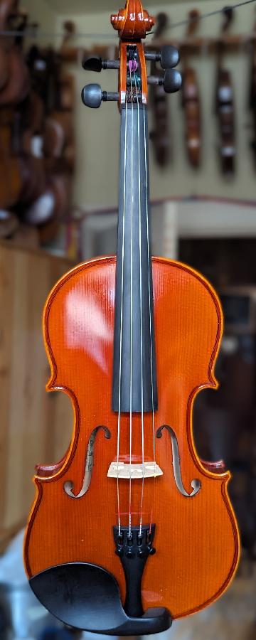 Splendide violon adulte 4/4 en étui rectangulaire